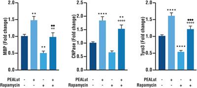 Co-Ultramicronized Palmitoylethanolamide/Luteolin-Induced Oligodendrocyte Precursor Cell Differentiation is Associated With Tyro3 <mark class="highlighted">Receptor Upregulation</mark>